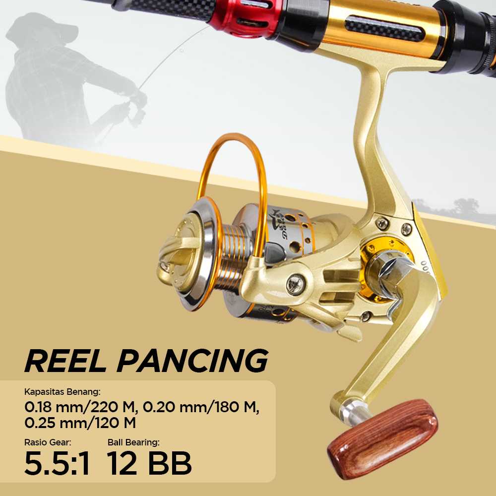 DARCY JX2000 Reel Pancing Spinning 12 Ball Bearing 5.5:1