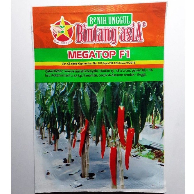 Benih Cabe Besar Megatop F1 10gr Bintang Asia