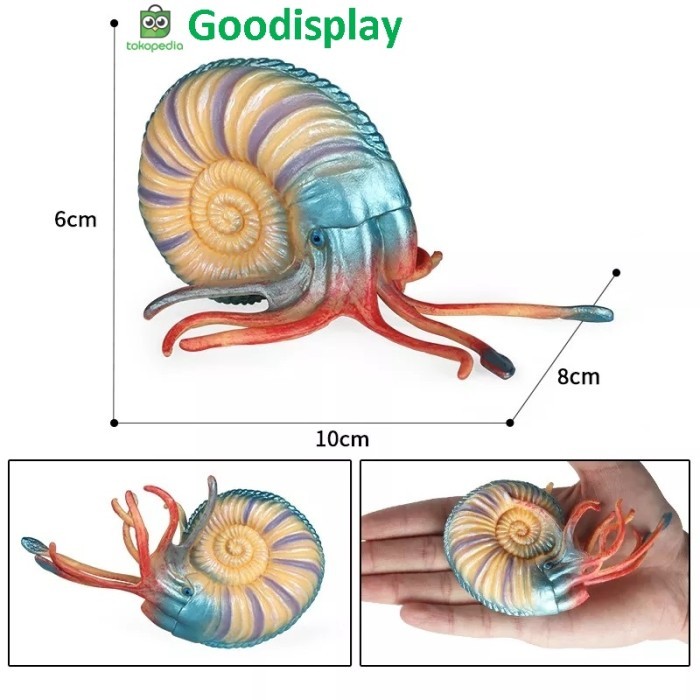 ✨E.SYO✨ - TERBARU aneka mainan edukasi miniatur fosil dinosaurus jurassic hewan purba - Pleuroceras