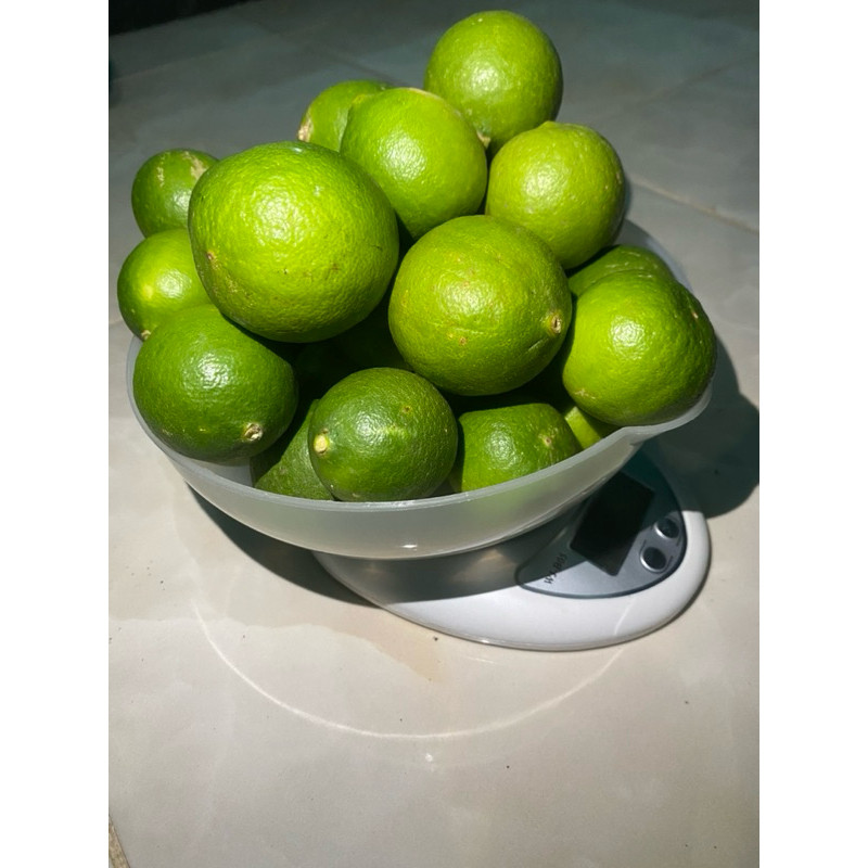

jeruk nipis 1kg ukuran sedang dan besar baru petik dari kebun