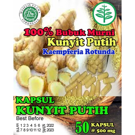 

Kapsul Ekstrak Kunyit Putih 50kapsul 100% asli.menyembuhkan kanker,liver dll