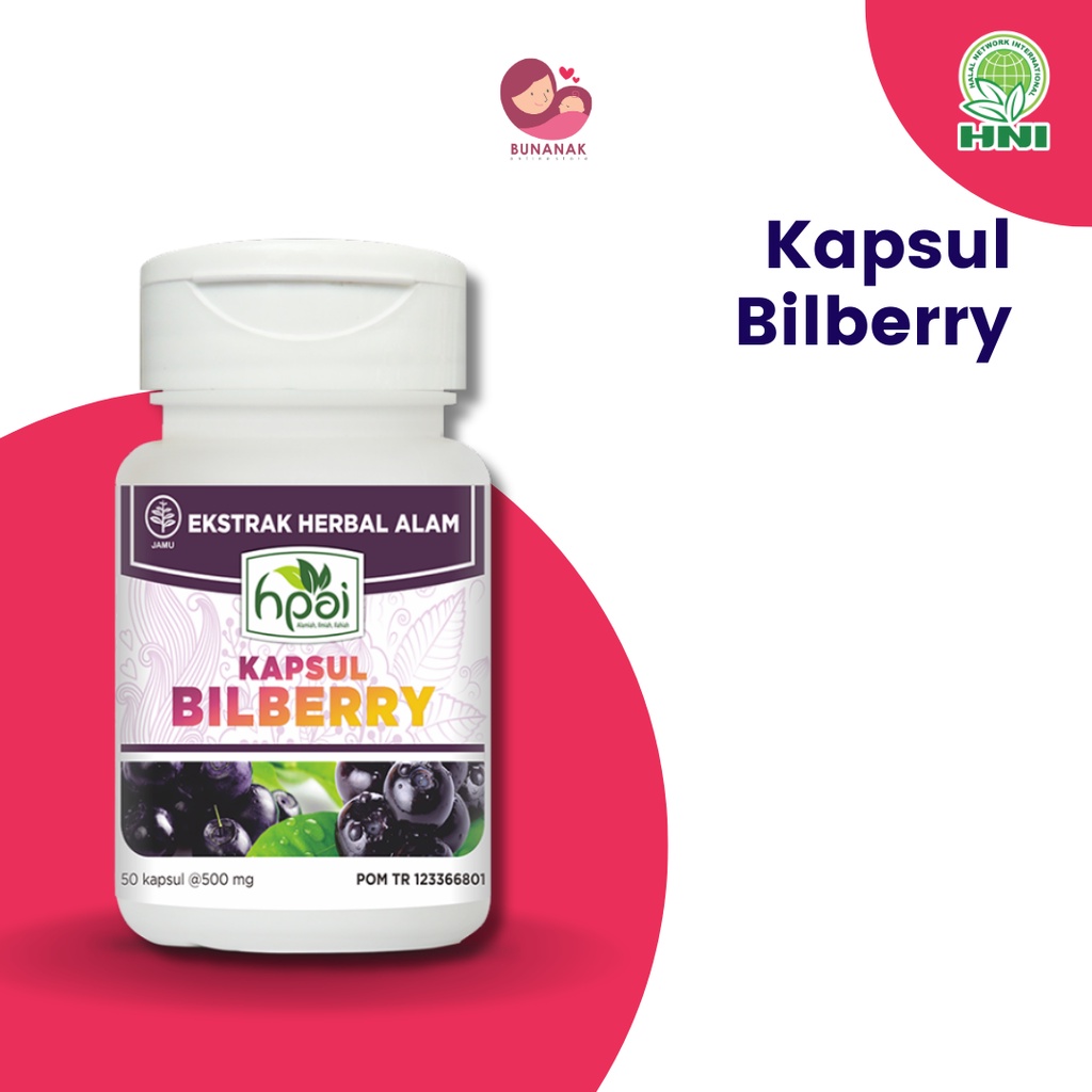 

BILBERRY - Menjaga Fungsi Retina Mata Melancarkan Darah - HNI BPOM - Produk Herbal