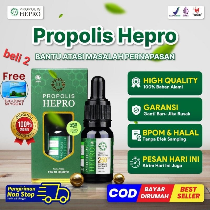 PROPOLIS HEPRO ASLI TRIGONA ATASI BATUK TBC BRONKITIS ASMA PROPOLIS HEPRO ASLI INDONESIA