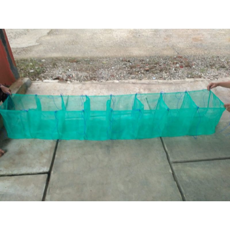 keramba ikan kecil kerambah ikan karamba ikan keramba sekat ikan cupang ikan guppy 2 sekat 4 sekat 6