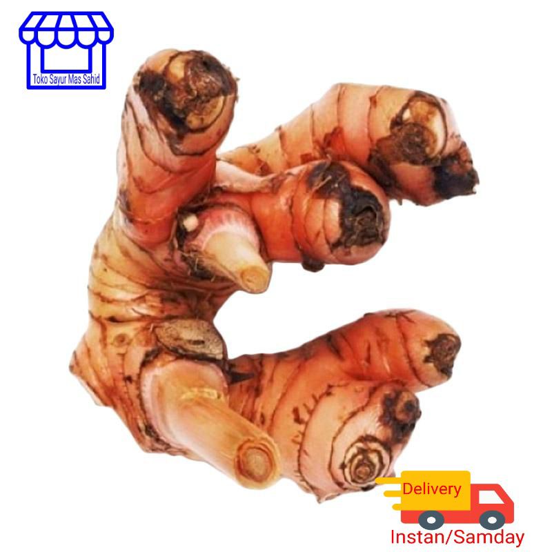 

INSTAN Lengkuas Laos muda segar 100 gram