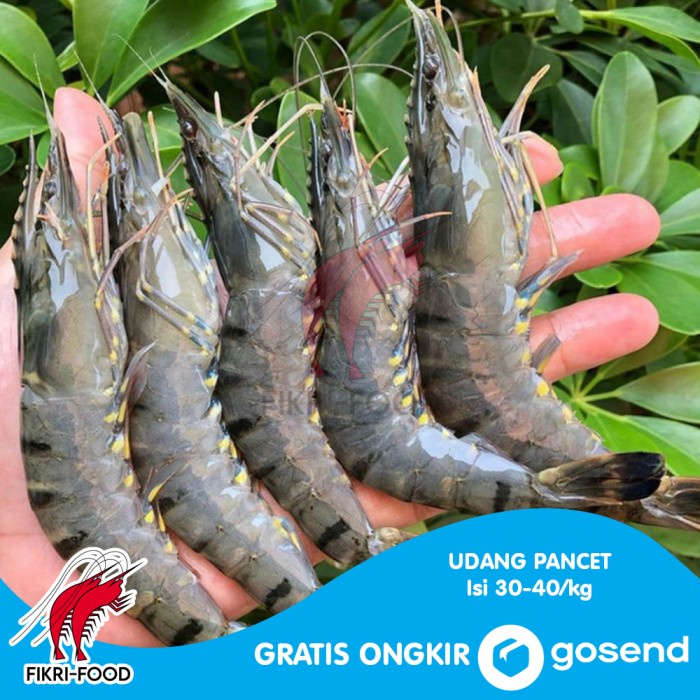 

Udang Pancet / Windu / Tiger AK 30-40 Segar