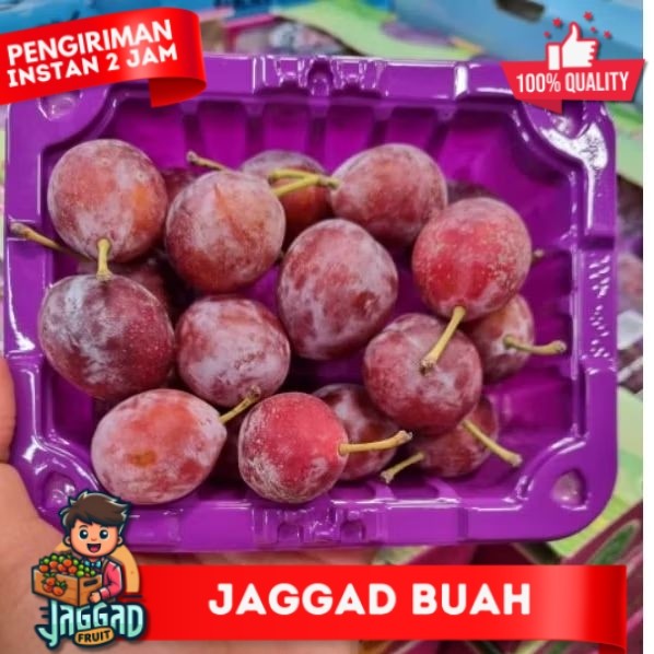 

BUAH PLUM JAGGAD FRUIT
