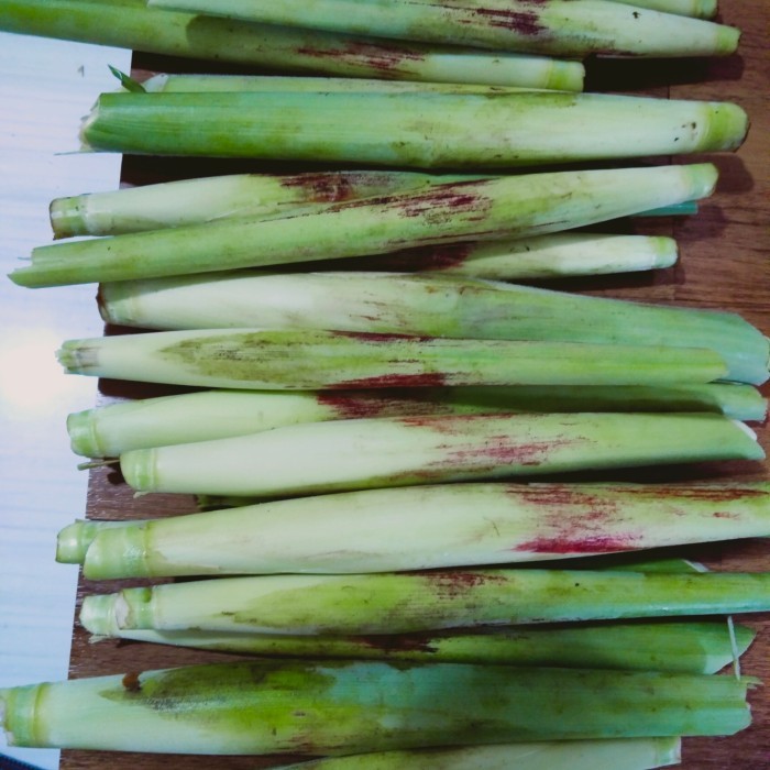 Terubuk sayur/terubuk sayur /endog tebu telor tebu perbuah/pcs termurah