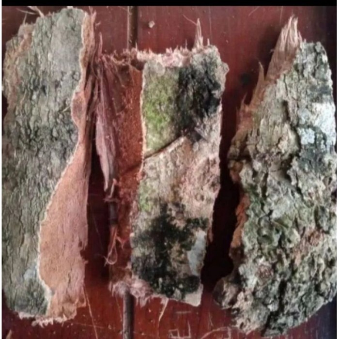 

kulit angsana per 2 kg tanaman