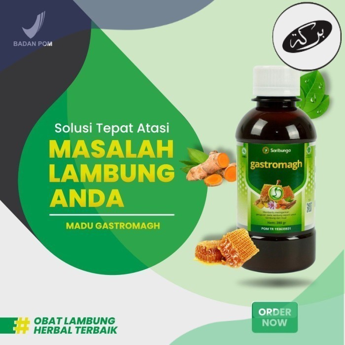 

HDN Madu Gastromagh Membantu Atasi Asam Lambung, Gerd, Maag 175gr