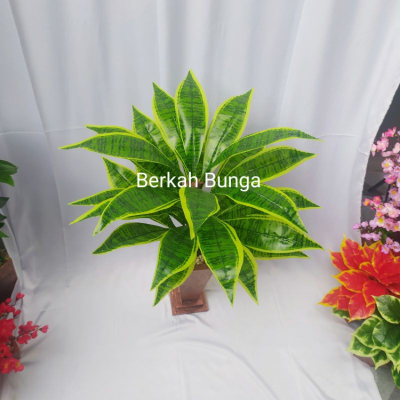 lidah mertua artificial- lidah mertua plastik- daun lidah mertua- daun plastik- hiasan rumah