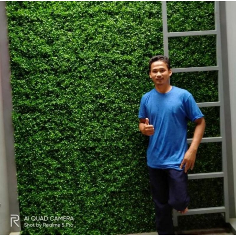 DAUN DOLAR SINTETIS 40X60 CM - DAUN DINDING SINTETIS DOLLAR - DAUN PLASTIK - DEKORASI - DAUN RAMBAT 