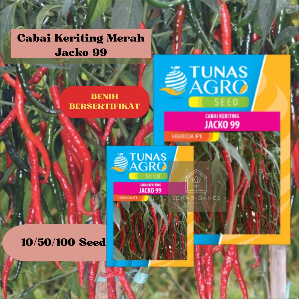 NEW Biji Benih Cabai Keriting Jacko 99 F1 Ori - Repack 10 & 50 Bibit Cabe Kriting Lombok Besar