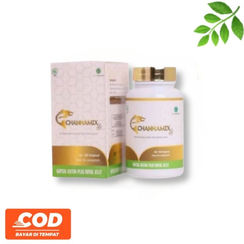 CHANNAMIX KAPSUL KUTUK IKAN GABUS ASLI ORIGINAL
