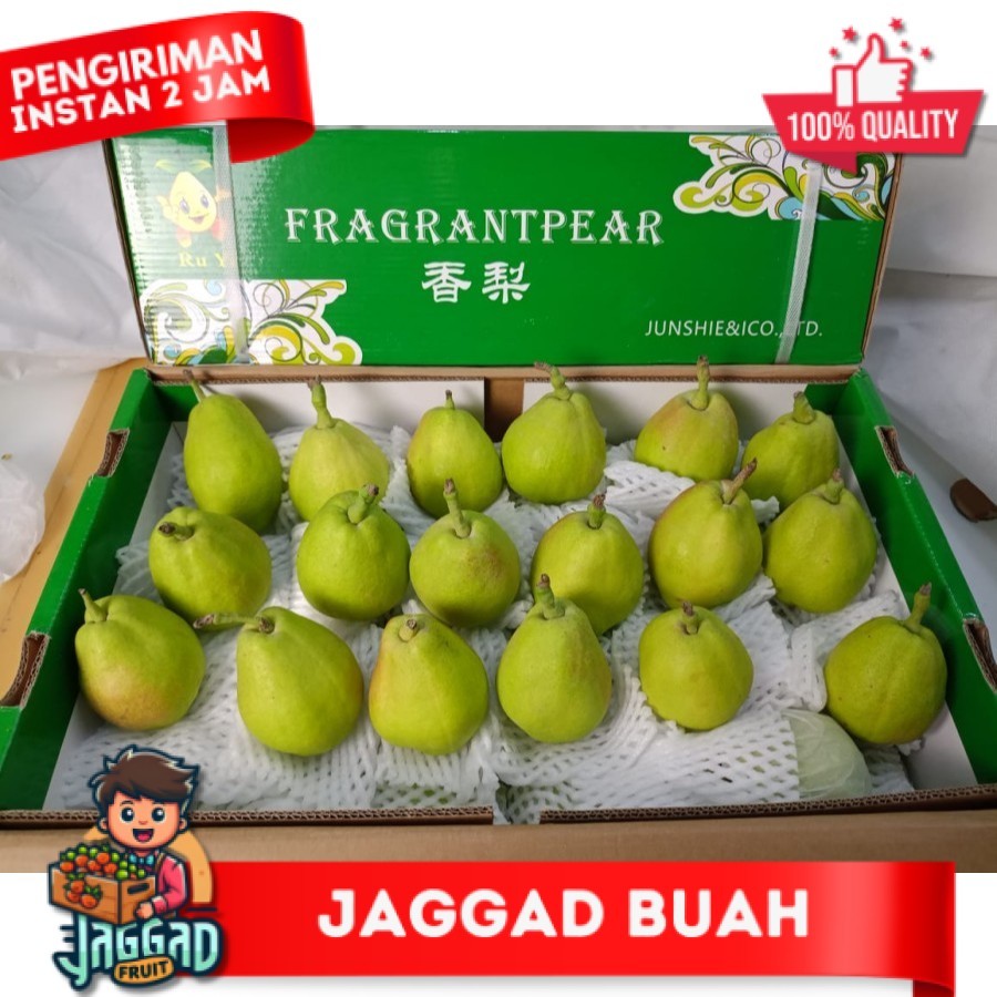 

Buah Pir / Pear XIANG LIE Fresh Import 1 Dus / Box / Keranjang SEGAR DAN BERKUALITAS JAGGAD FRUIT