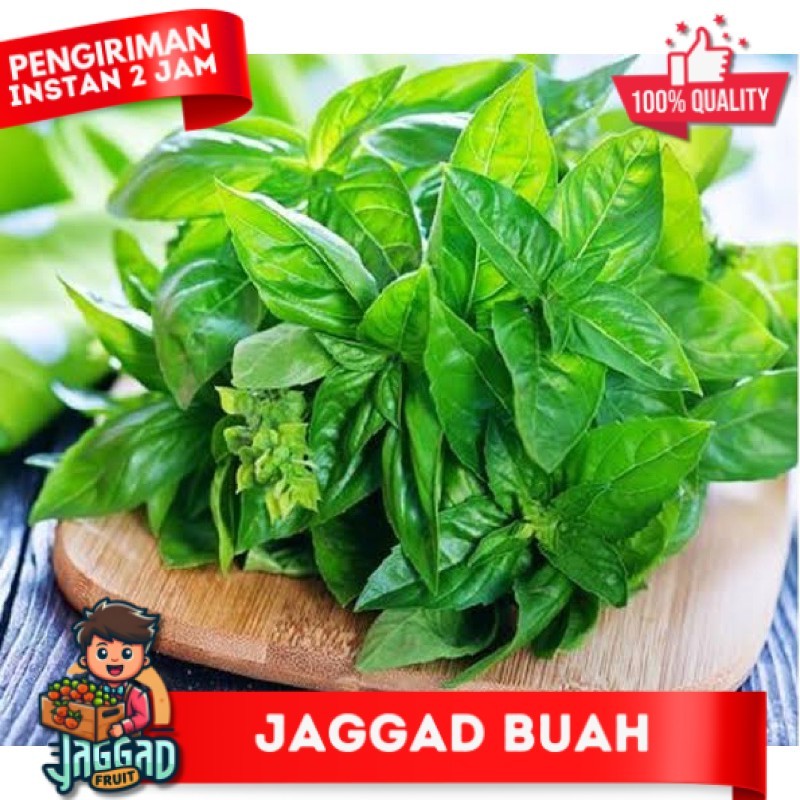 

Daun Kemangi 100 gr JAGGAD FRUIT
