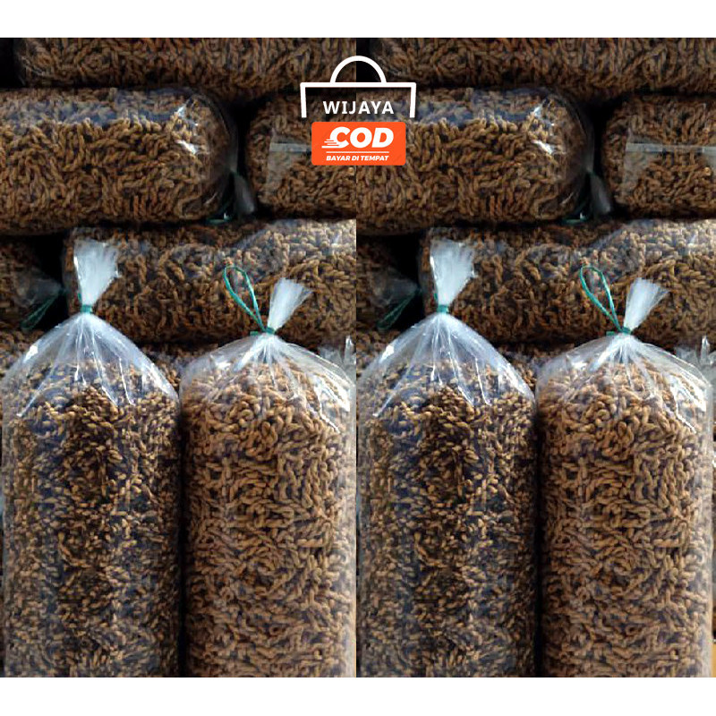 

PLUNTIR MINI PER BAL 5 KG