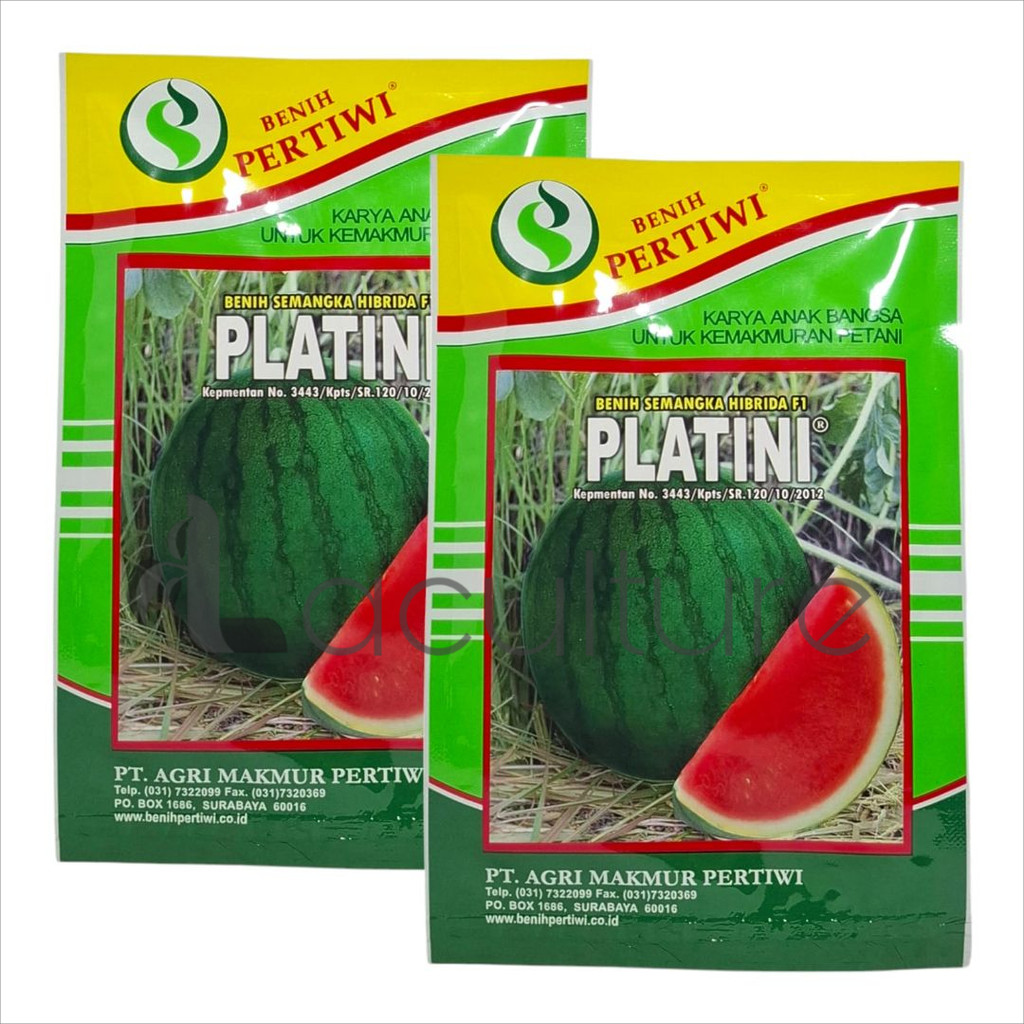 Benih Semangka Hibrida Non Biji Platini F1 Isi 20 Gram Cap Benih Pertiwi