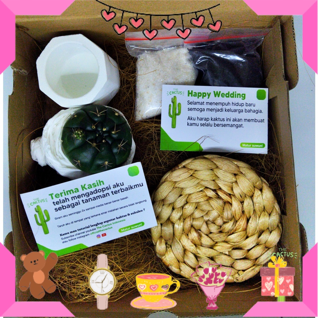

KADO HAMPERS BAYI ANAK MUDA REMAJA PACAR KEKASIH BIKIN ROMANTIS ANNIVERSERY/ Hampers Kado Kaktus Lucu Paket Gift Set Ulang Tahun Pernikahan Wisuda Cowok Cewek / ULTAH LAHIRAN WISUDA JADIAN