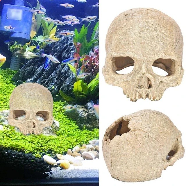 Hiasan Ornamen Tengkorak Skull Aquarium Aquascape