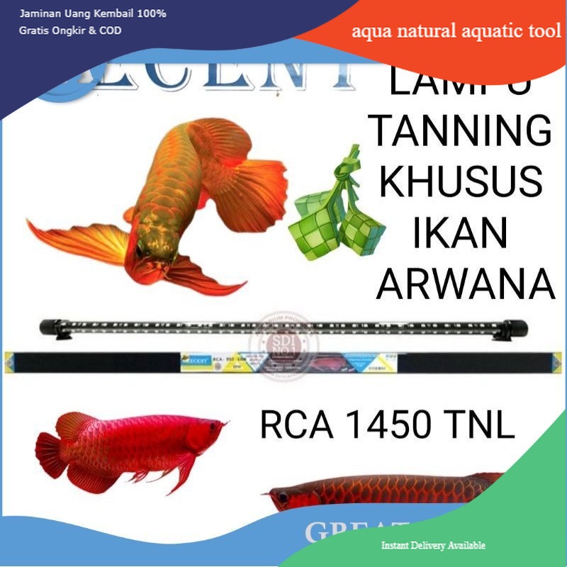 LAMPU TANNING AQUARIUM RCA 1450 TNL RECENT