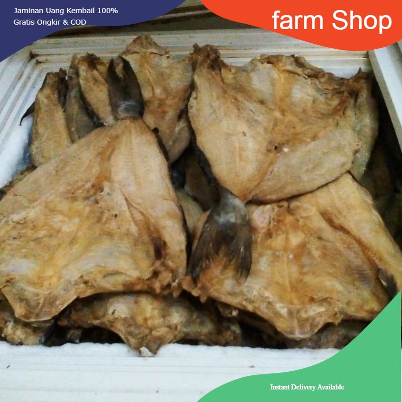 

fS01 Ikan asin jambal roti super ngeprul tanpa tulang asli Pangandaran 1 KG & 500 gram