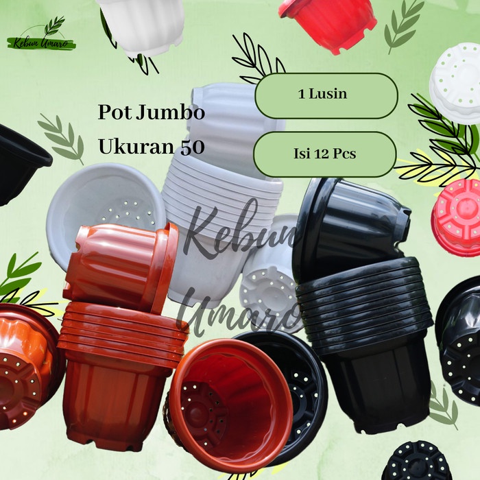 GROSIR 1 Lusin Pot Jumbo Ukuran 50 / Pot Besar / Tabulampot / Pot Bigmom / Pot Tanaman / Pot Bunga / Pot Plastik / Kebun Umaro