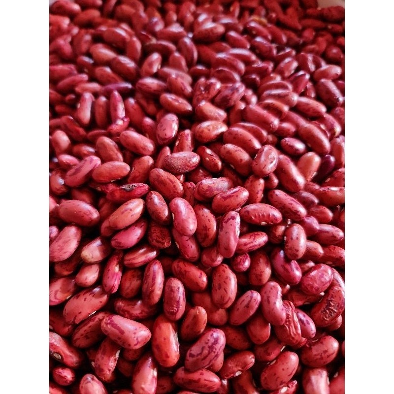 

PROMO MURAH !!! 1KG KACANG MERAH / KACANG JOGO KERING JAWI
