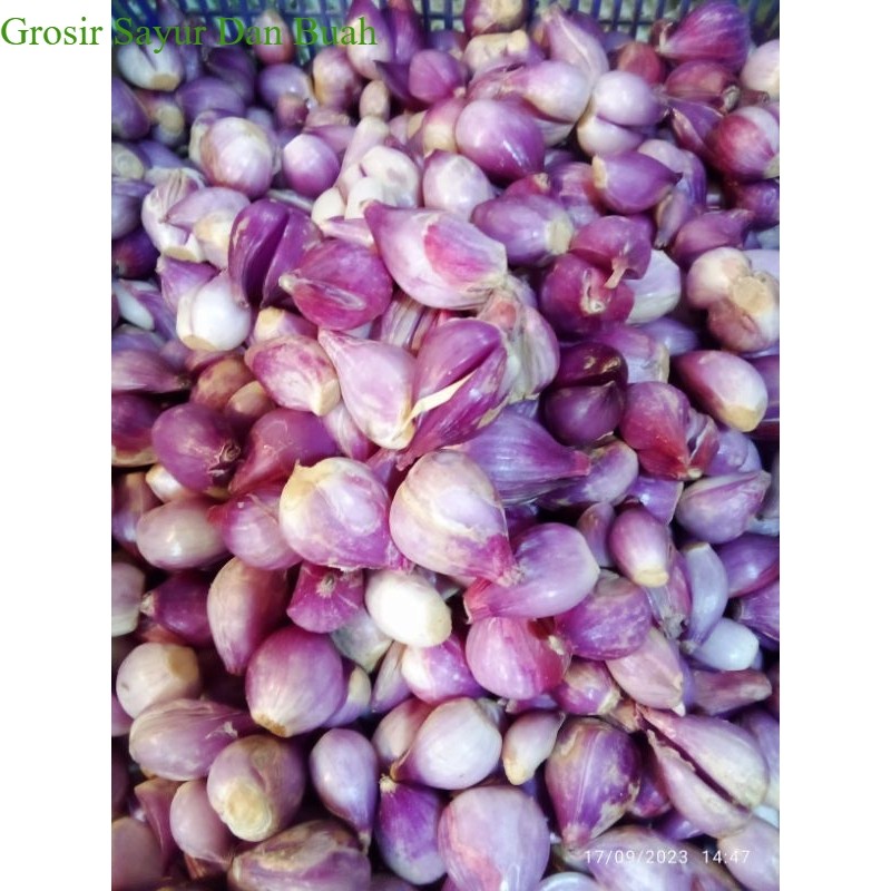 

BAWANG MERAH KUPAS FRES SEGAR NETTO 100gr