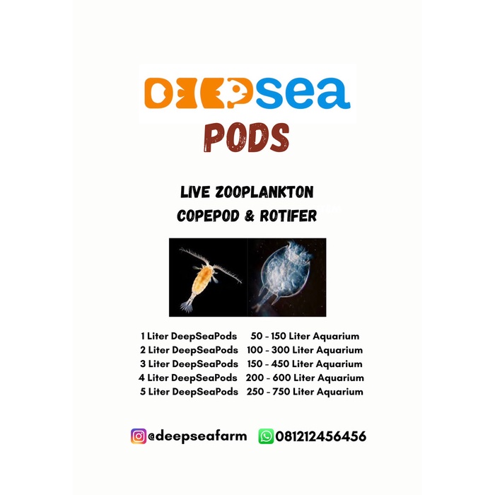 DeepSeaPods Live Copepoda / Copepods & Rotifera / Rotifers (1000 ML)