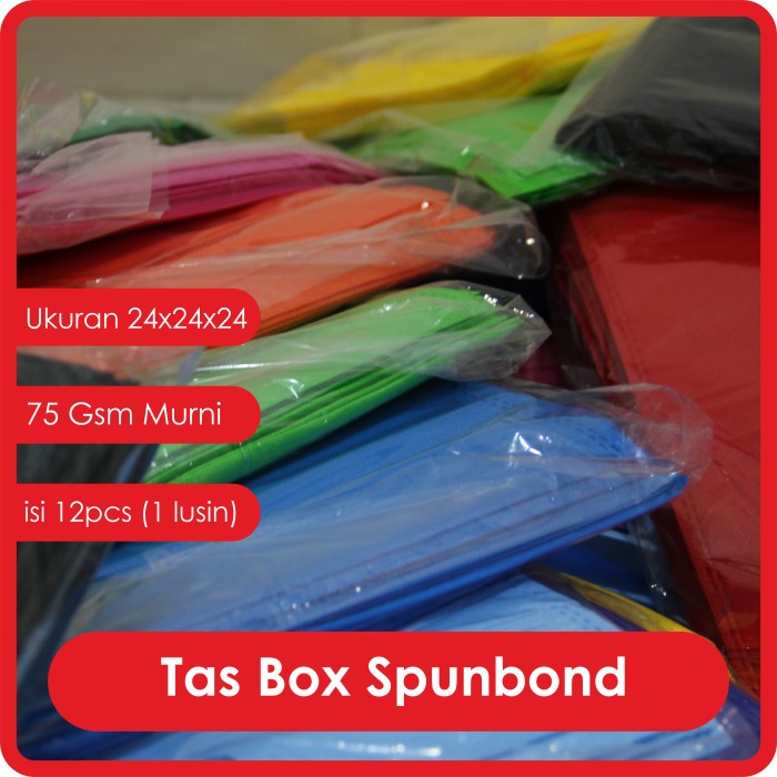 

TAS BOX SPUNBOND HANDLE LUSINAN uk 24x24x24 / Goodie Bag Box Handle