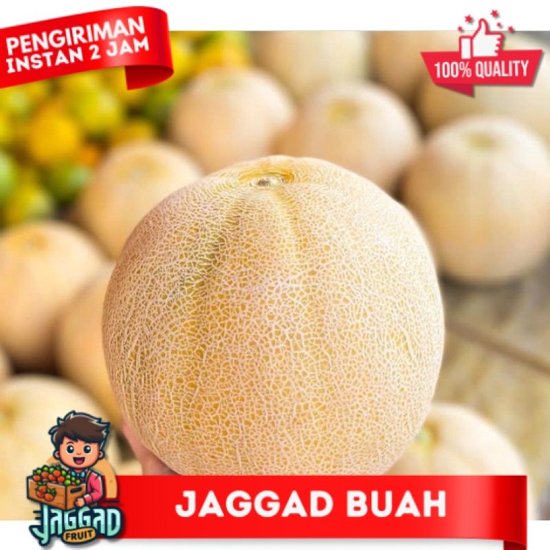 

BUAH MELON MADU MANIS 1 BUAH FRESH Jaggad Fruit