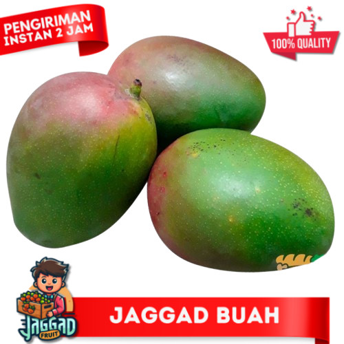 

MANGGA BRASIL 1kg Jaggad Fruit