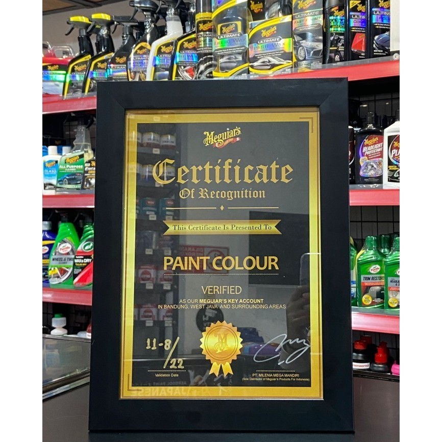 Meguiars - Meguiars Carpet and Upholstery Cleaner