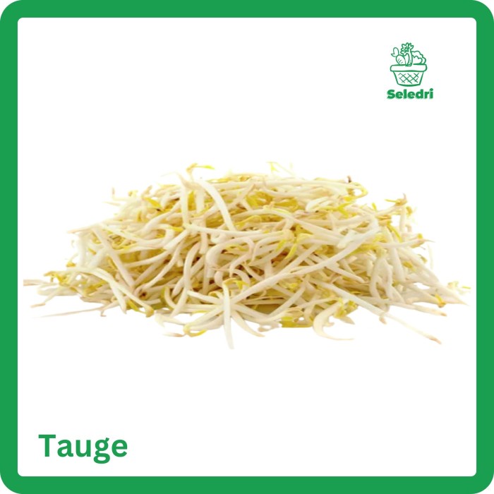 

Sayur Toge Tauge Segar 250gr/500gr/1kg