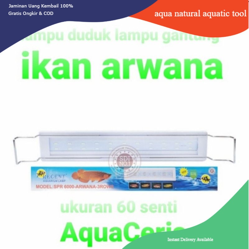 lampu spr recent 6000 lampu aquarium ikan arwana lohan ikan kelas