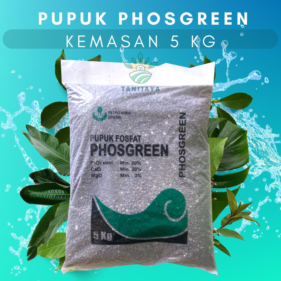 Pupuk Phosgreen Kemasan 5Kg || Pupuk Original Petro || Nutrisi Tanaman || Za Petro || Petroganik || 