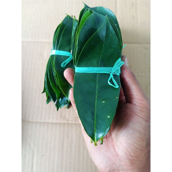 

Paket hemat daun sirsak segar 300 gram