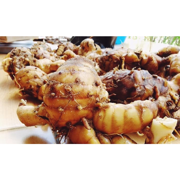 

New COD TEMU PUTIH CURCUMA ZEDOARIA SEGAR 500gram
