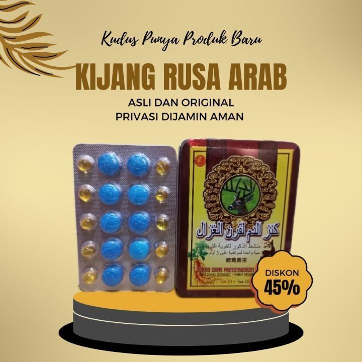 Kijang Tanduk Rusa Original Arab Asli