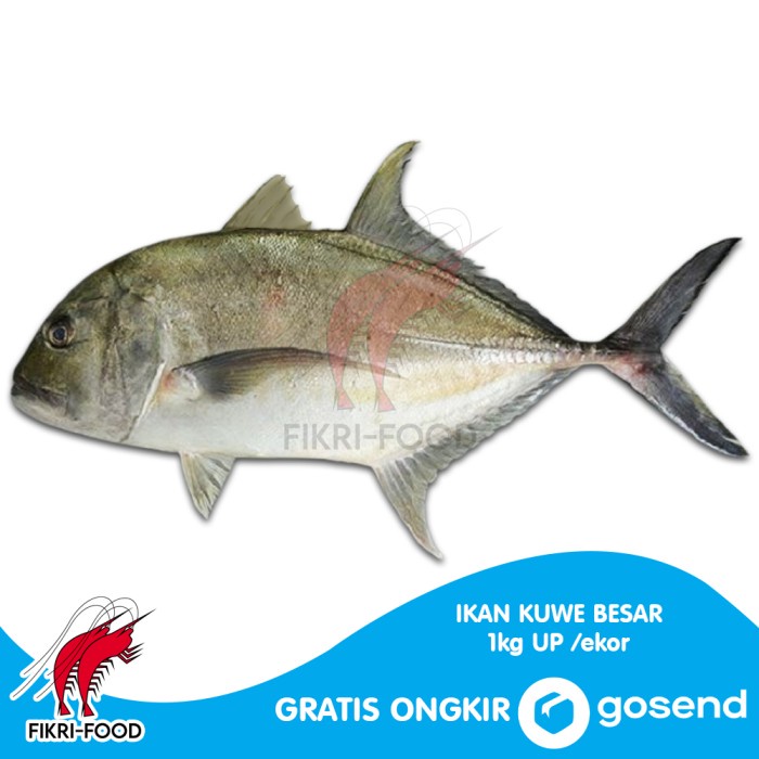 

Ikan Kuwe Segar 1kg