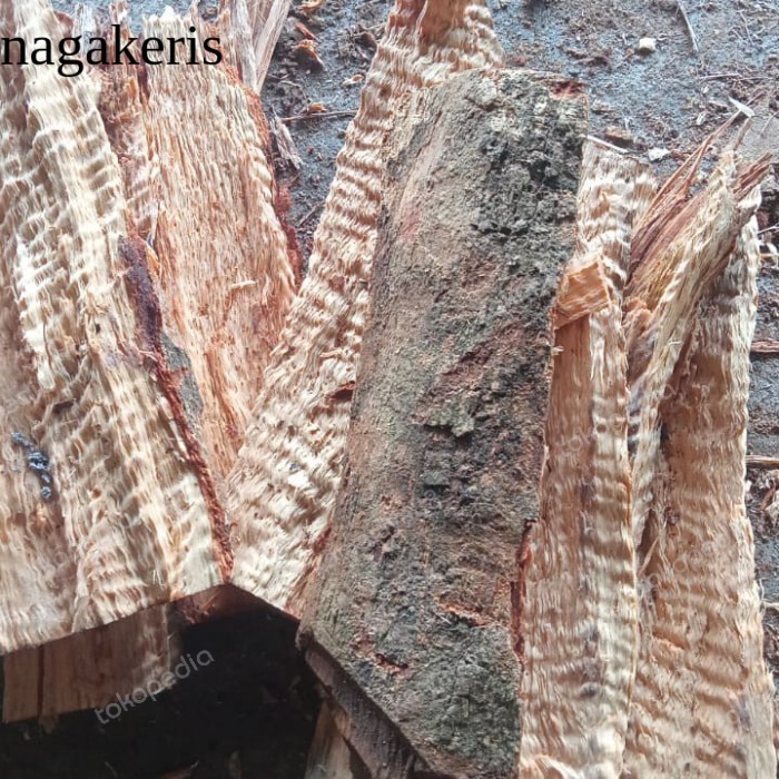 

SN07 1 KG kayu bakar rambutan bbq smoker laris