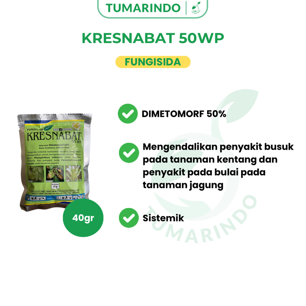 Kresnabat 50WP 40GR Fungisida Dimetomorf Sistemik Mengendalikan Penyakit Busuk pada Tanaman Kentang 