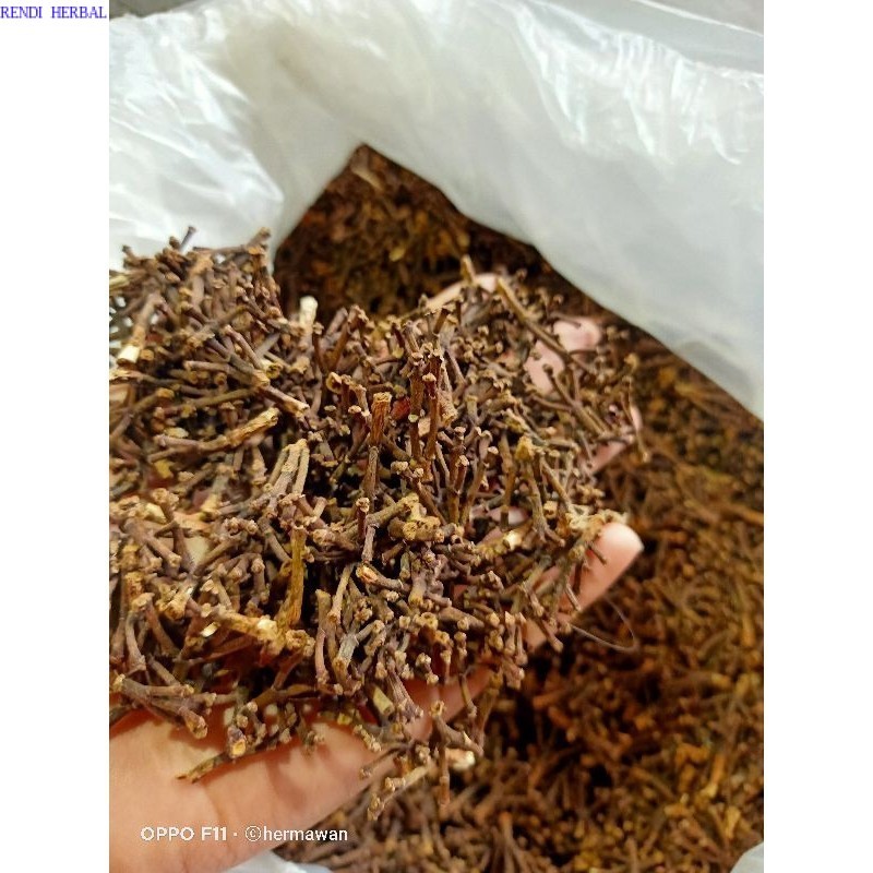 

Bangkang /Gagang Cengkeh Kering 500g