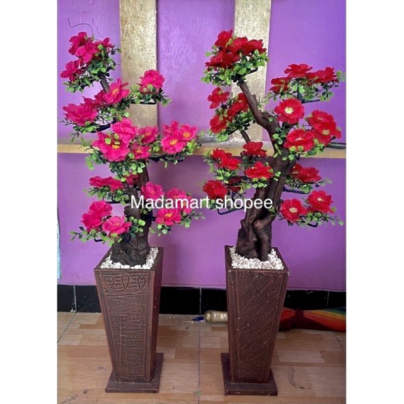 Pohon bunga hawai, sakura, bambu dengan pot lengkap bebatuan mewah
