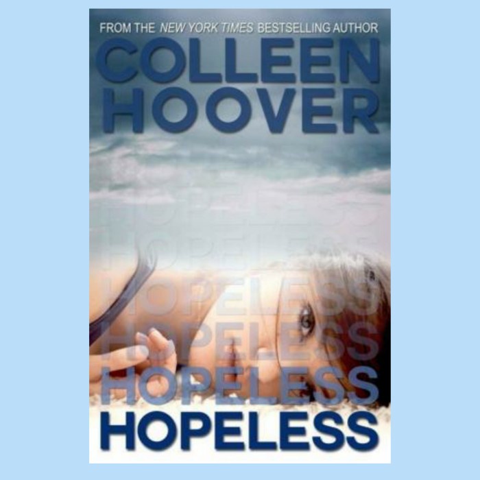 BUKU NOVEL HOPLEES COLLEN HOOVER