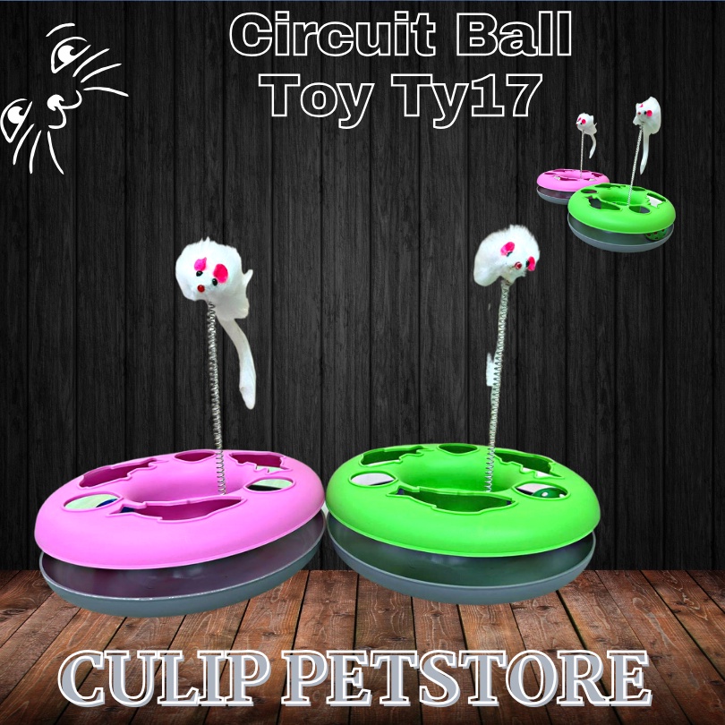 Mainan Kucing Putaran Bola - Circuit Ball Toy Ty#17