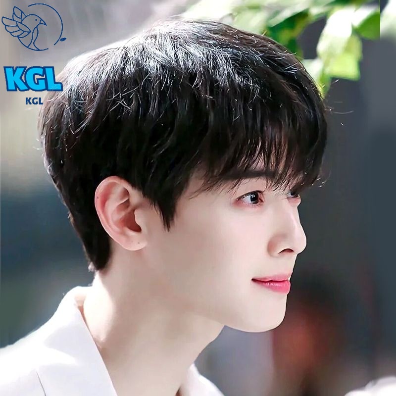 【Pengiriman cepat】Yang Yang Sama Gaya Wig Pria Penuh Tutup Kepala Wig Pria Rambut Asli Rambut Pendek