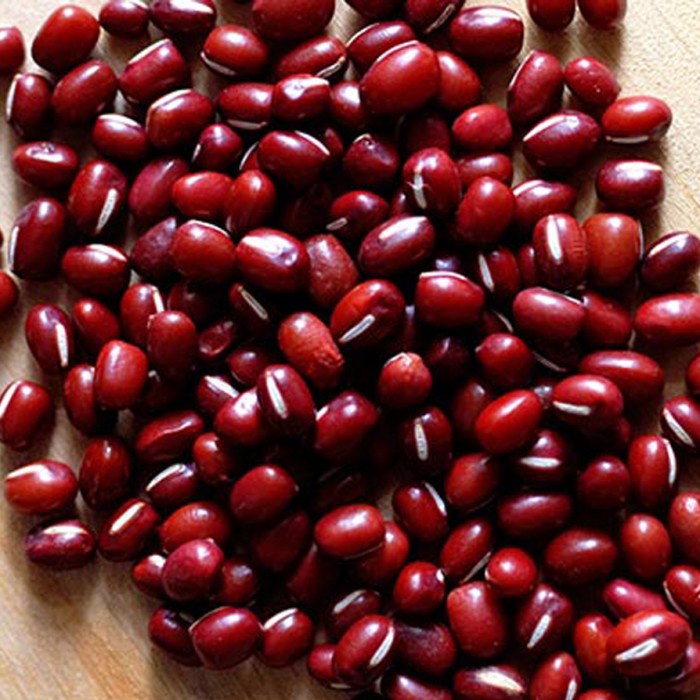 

kacang merah azuki adzuki azkusi 1kg red bean adzuki impor