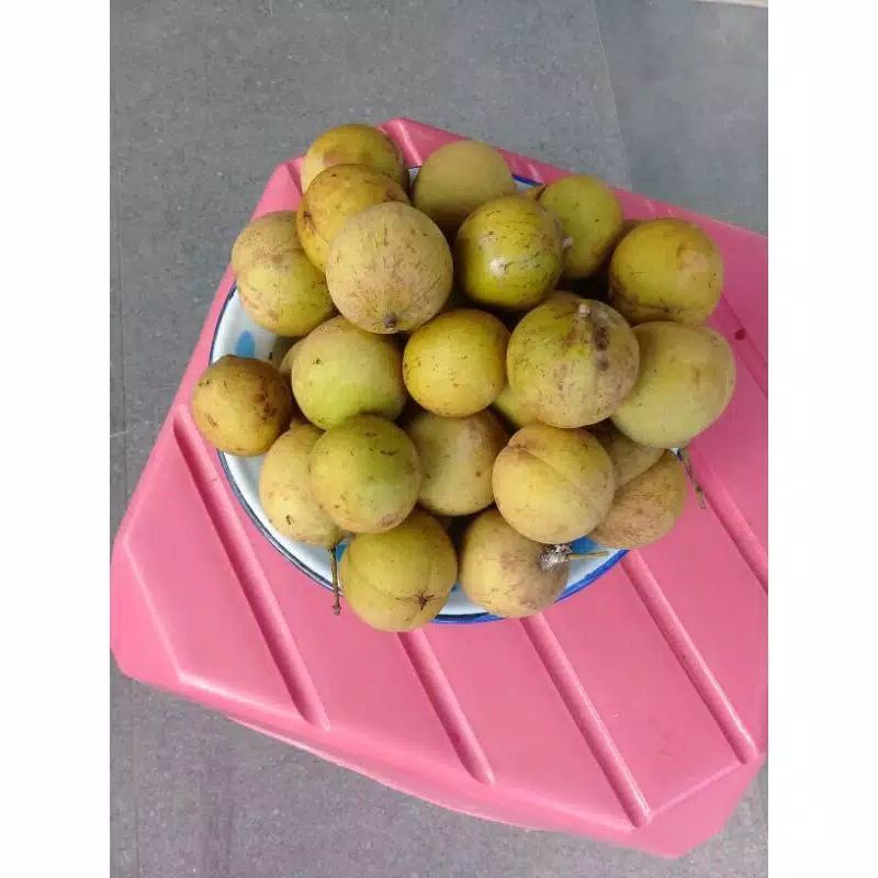 

New Promo 500 GRM BUAH PALA SEGAR UTUH/BELUM KUPAS bisa COD